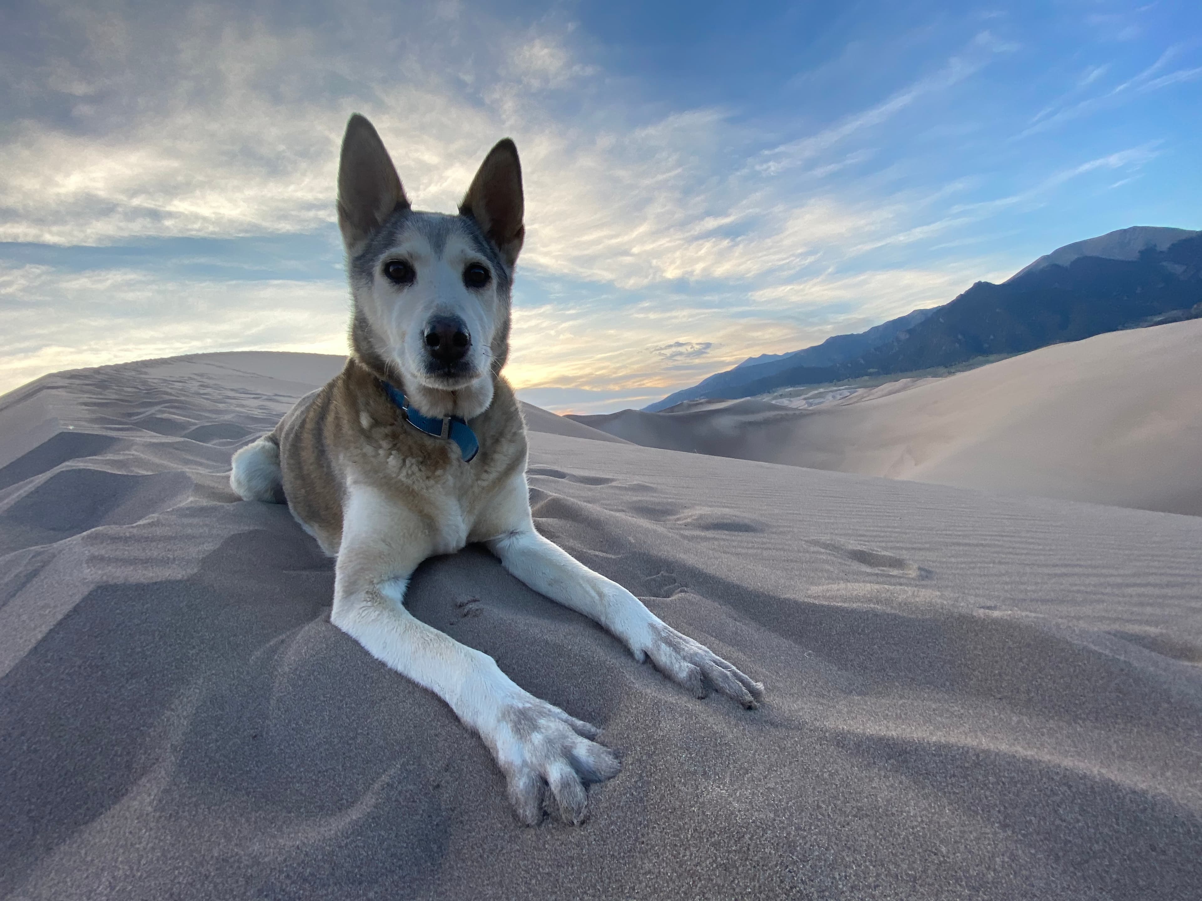 Miles of nothing, and he loved every step.